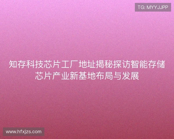 知存科技芯片工厂地址揭秘探访智能存储芯片产业新基地布局与发展